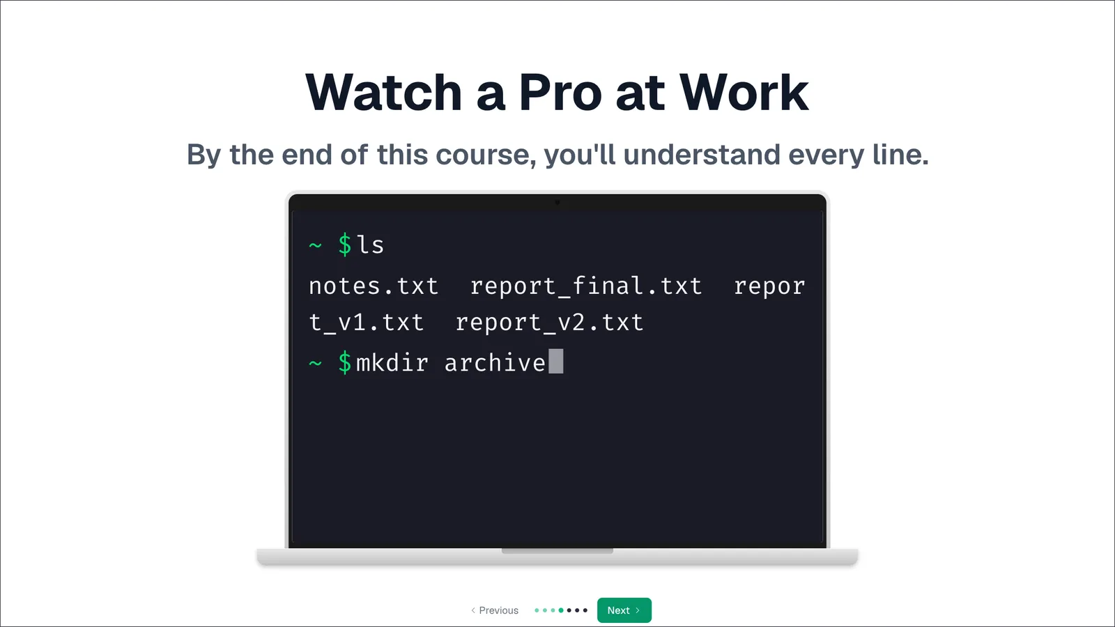 Slide: Terminal Introduction. Watch a pro at work in a live terminal